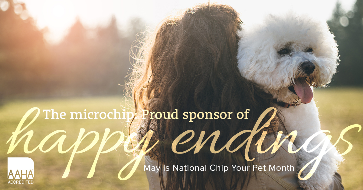 do you need to register if your dog is chipped