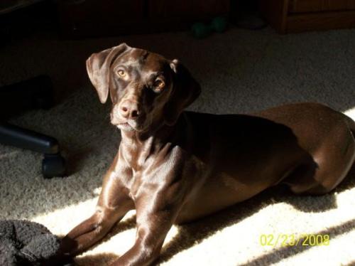 Izzie Owens - Mendolia