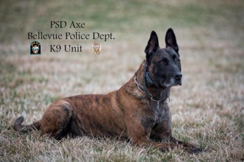 PSD "Axe" Bartley