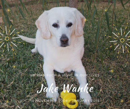 Jake Wanke