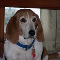 Lucy Jefferson - 17 November 2001 - 20 February 2015