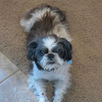 Leon Milo Sayles - 2 April 2002 - 12 May 2015