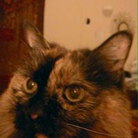 Mable Lemke 