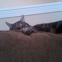 Doug Thelen - 4 July 1999 - 17 October 2013Devoted companion of Whiskey from 2010 - 2012