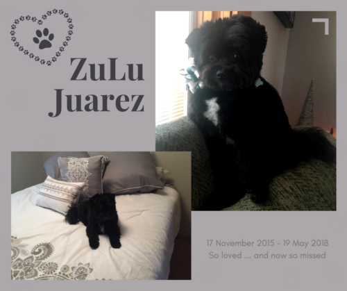 ZuLu Juarez